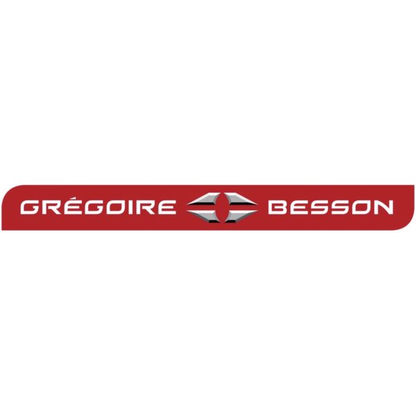 Gregoire Besson 1231314